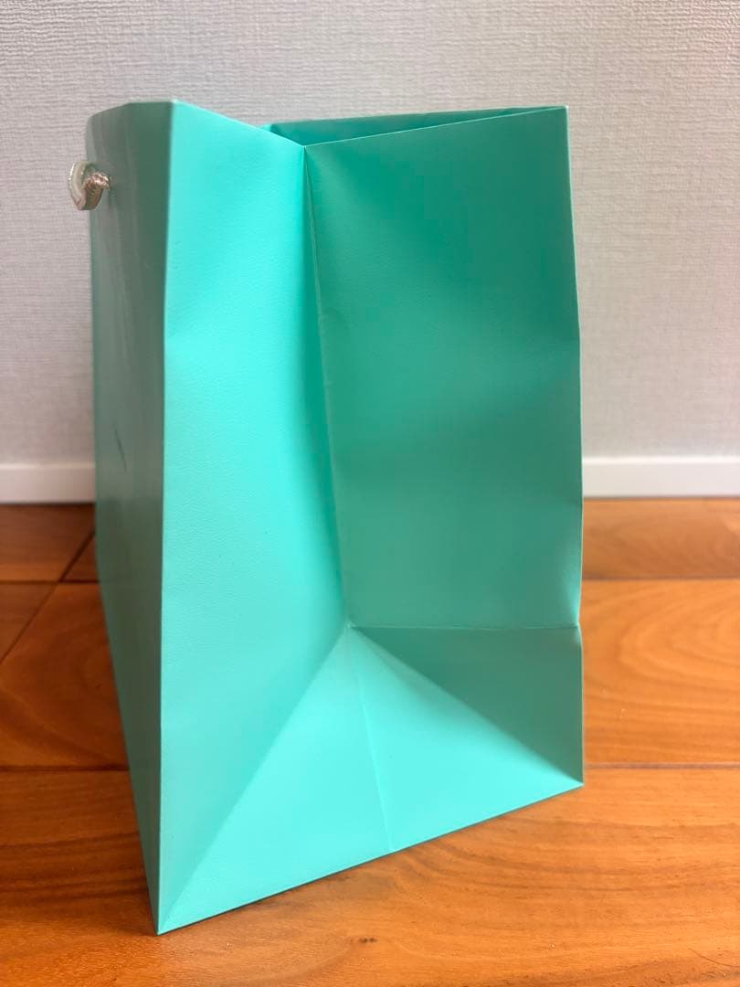 TIFFANY & Co. テイフアニー ショッピングバッグ 紙袋 — image 4