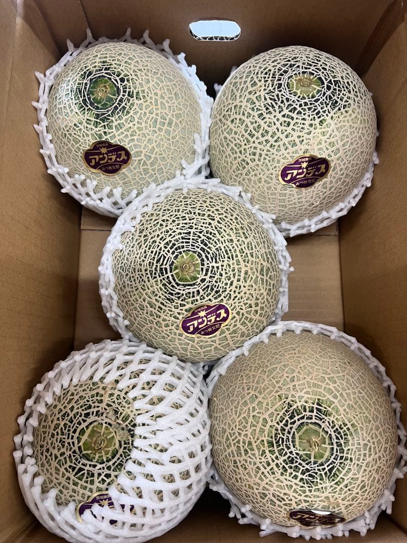 茨城産アンデスメロン1箱4,5,6玉6kg — image 2
