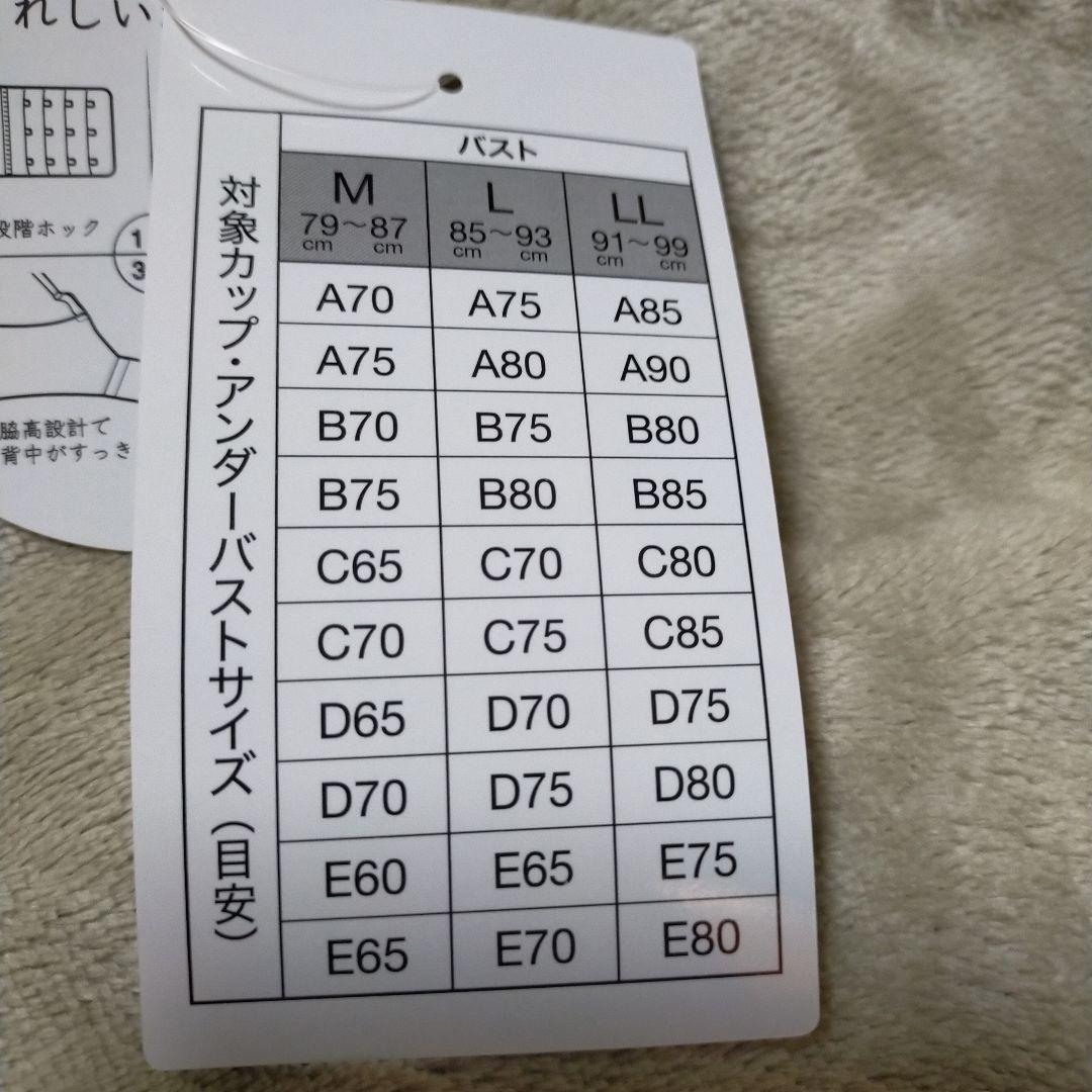 ワークマン　着ラクノンワイヤーブラ　Мサイズ — image 2