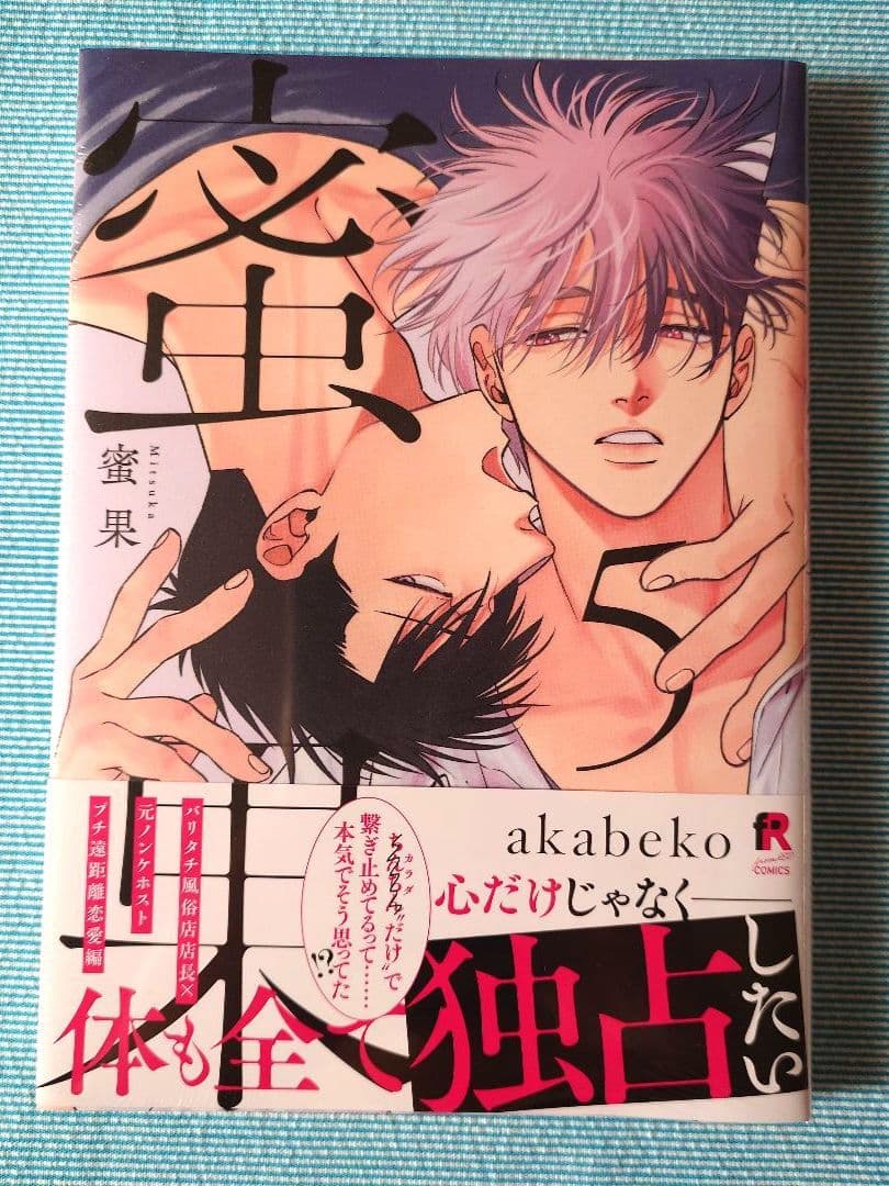 『蜜果 5』 コミコミスタジオ同人誌付 akabeko — image 3