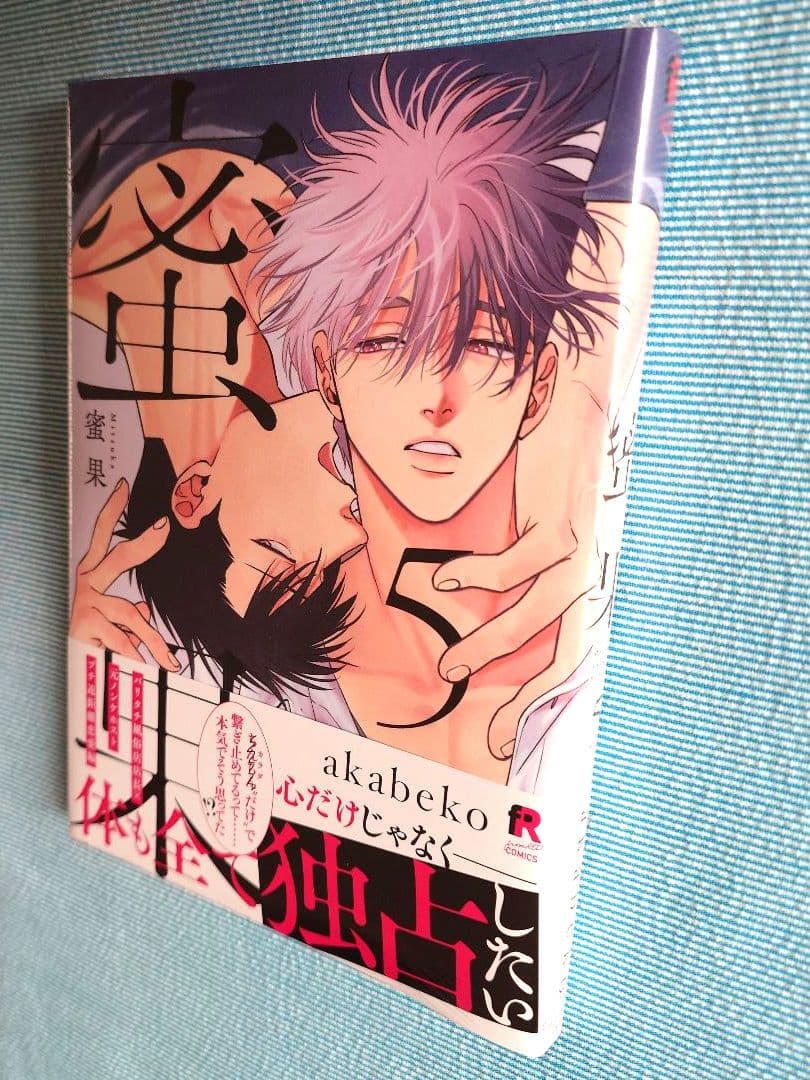 『蜜果 5』 コミコミスタジオ同人誌付 akabeko — image 5