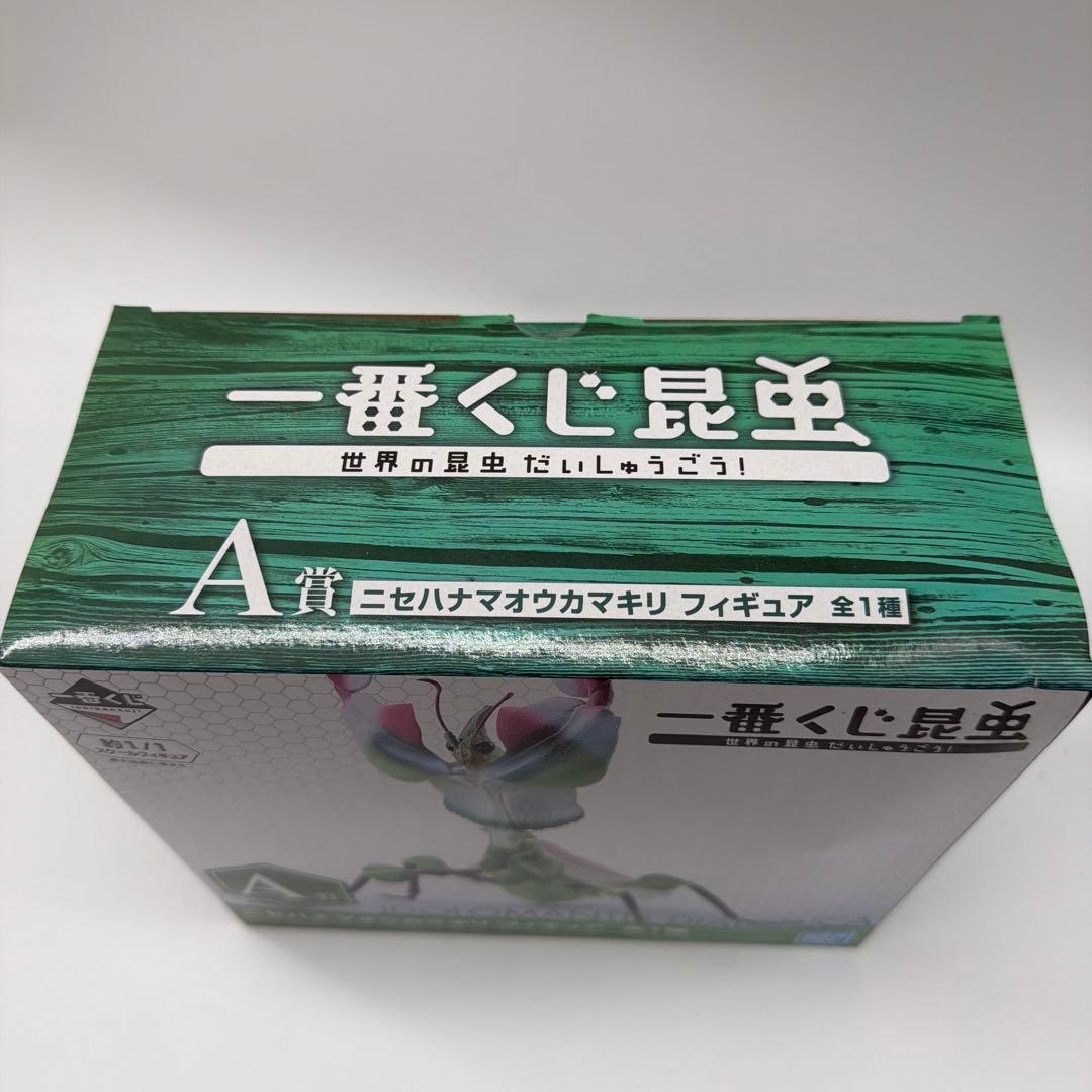 一番くじA賞 昆虫 世界の昆虫だいしゅうごう！ニセハナマオウカマキリ フィギュア — image 4