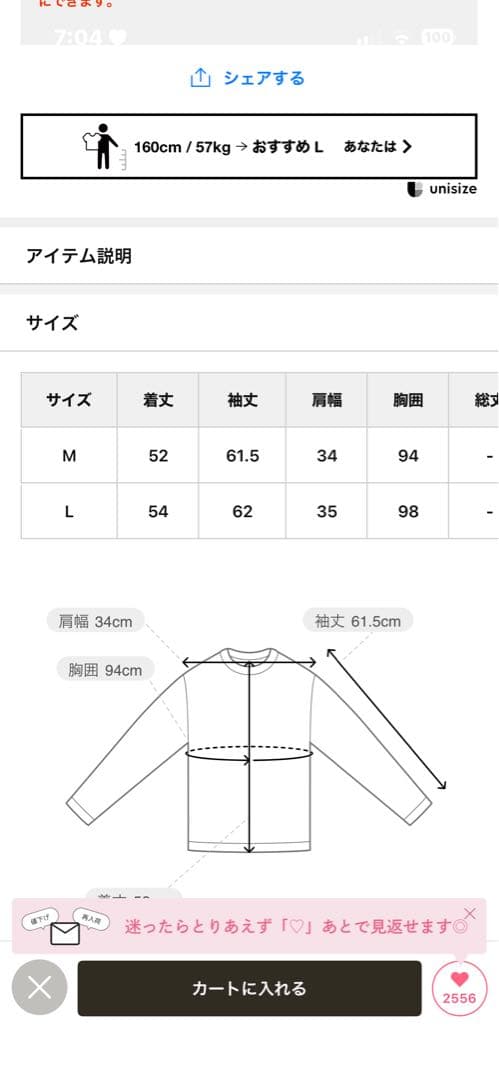 プロズヴェール　ボートネックシアートップス　L — image 2