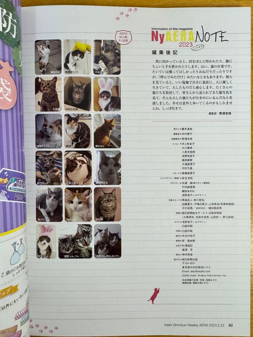 NyAERA 2023年2月22日増刊号 猫特集 — image 4