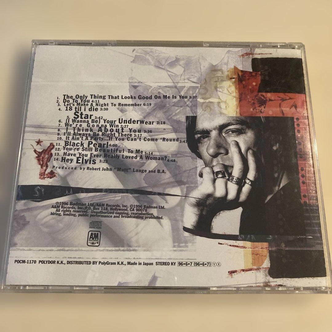 帯付・美品】Bryan Adams 18 Til I Die ブライアンアダムス — image 2