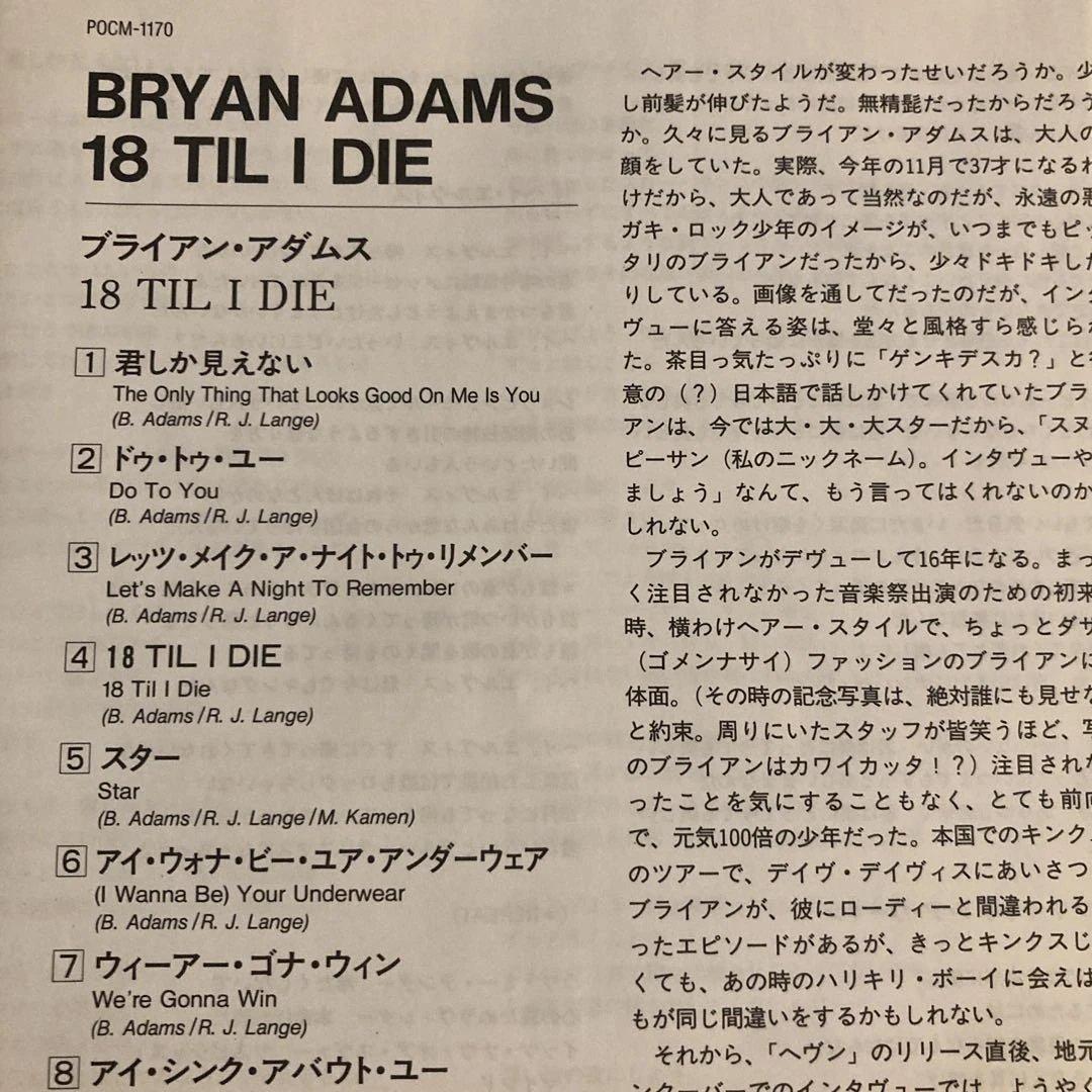 帯付・美品】Bryan Adams 18 Til I Die ブライアンアダムス — image 4