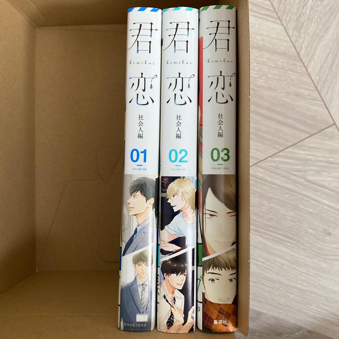 君恋　社会人編　1.2.3巻 — image 3