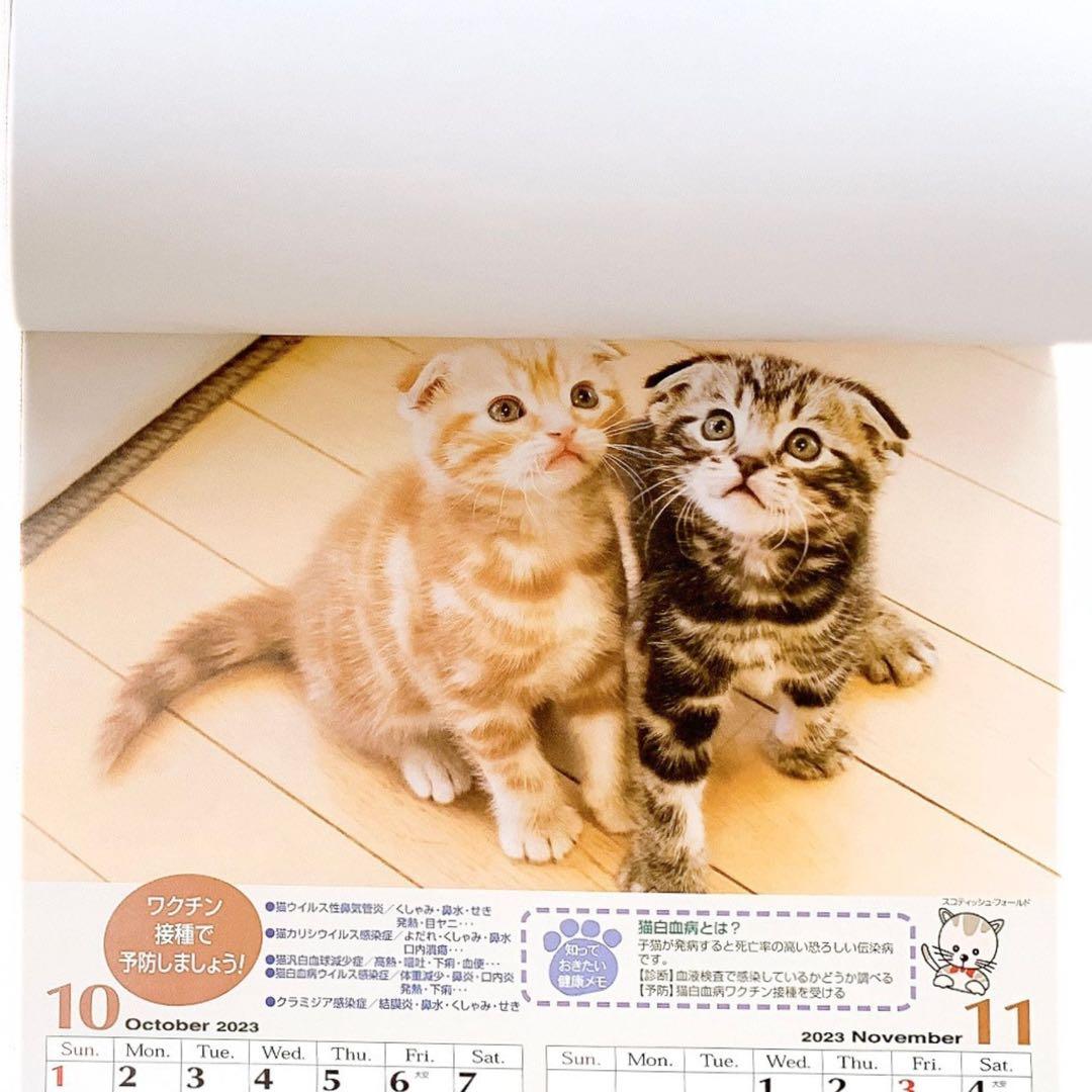 猫好きさんへ｜子猫写真集 4年分セット 2023〜2026 猫カレンダー 非売品 — image 4