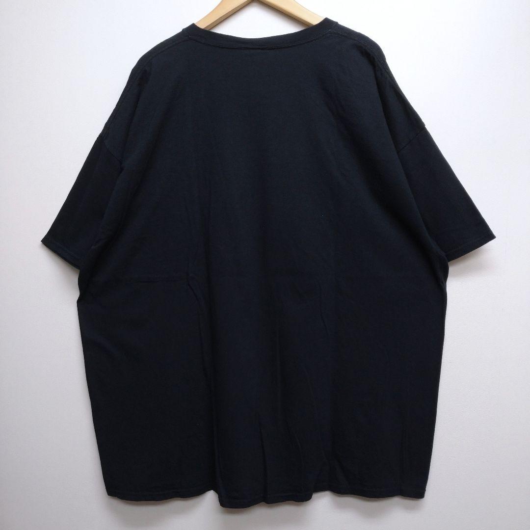 猫 FRUIT OF THE LOOM Tシャツ 3XL — image 3