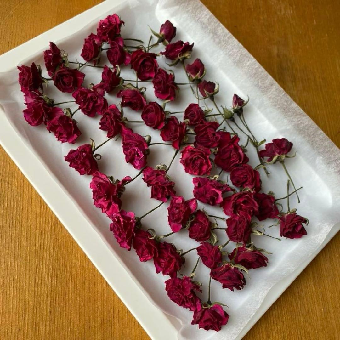 ミニ薔薇のドライフラワー　ヘッドのみ　薔薇（アンジェラ）　40輪＋α — image 2