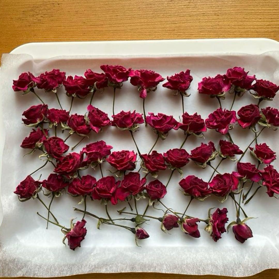 ミニ薔薇のドライフラワー　ヘッドのみ　薔薇（アンジェラ）　40輪＋α — image 3