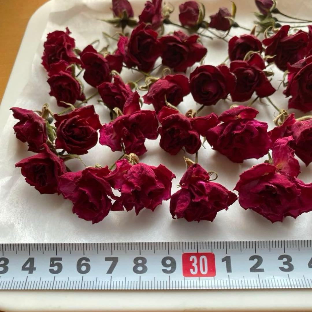ミニ薔薇のドライフラワー　ヘッドのみ　薔薇（アンジェラ）　40輪＋α — image 4