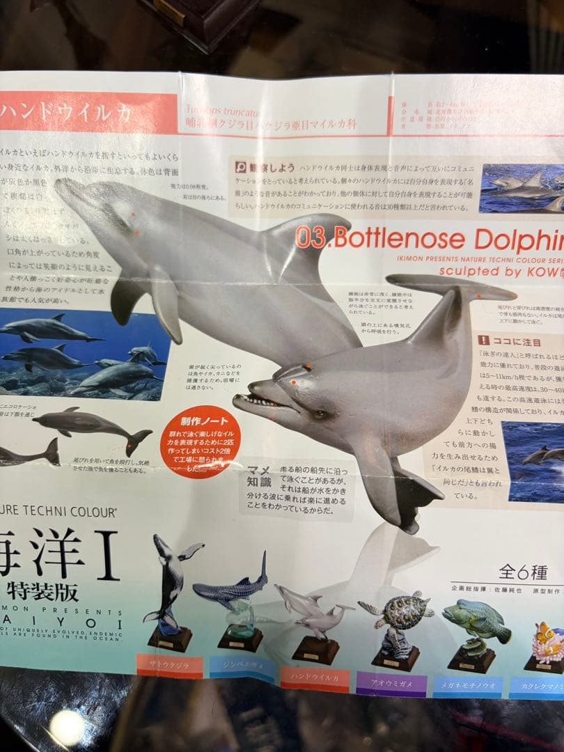 ネイチャーテクニカラー 海洋I ハンドウイルカ — image 3