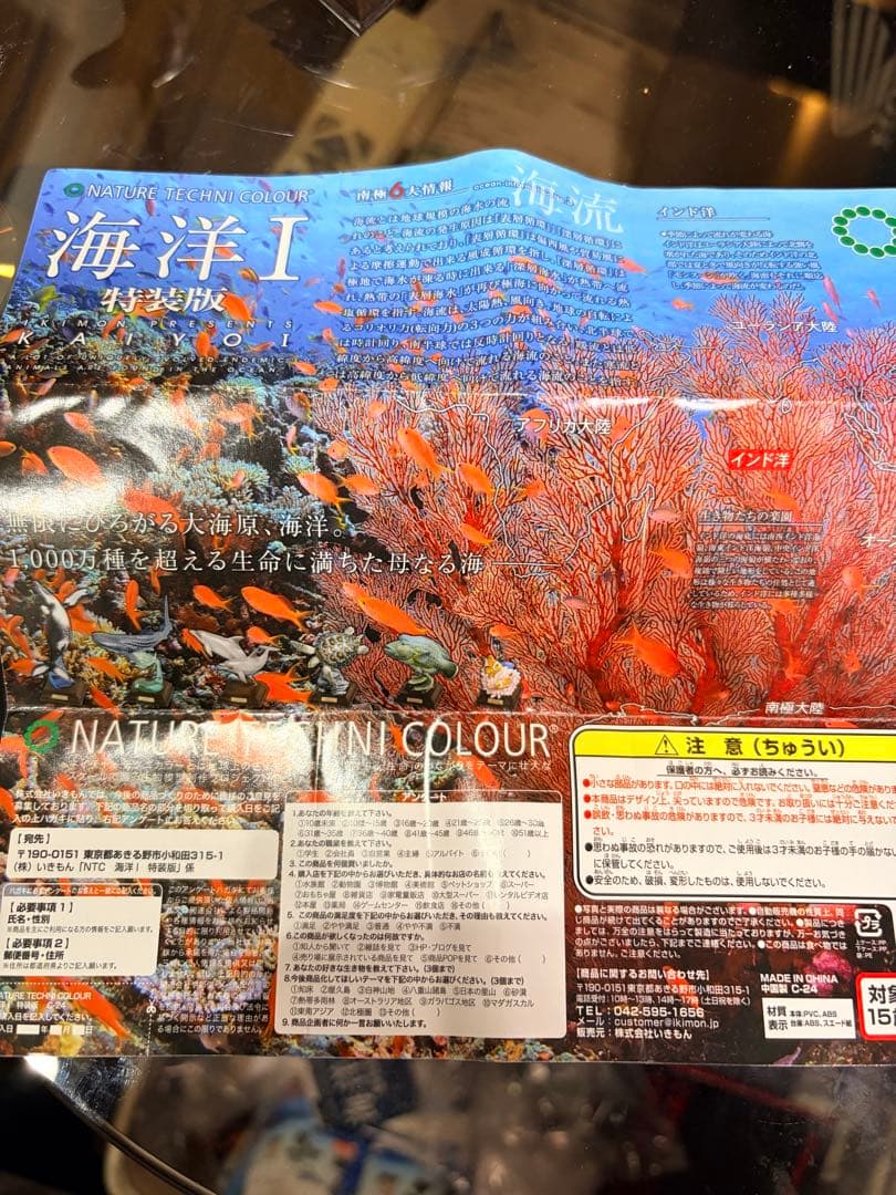 ネイチャーテクニカラー 海洋I ハンドウイルカ — image 4