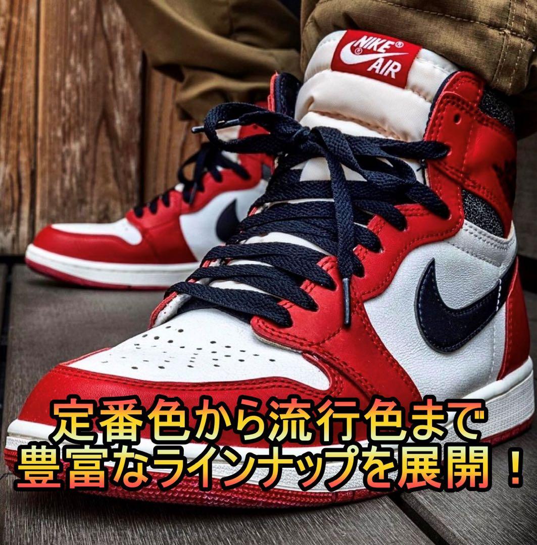 クラシックシューレース！ブルー！専用袋付き！エアジョーダン！ダンクNIKE♪46 — image 2