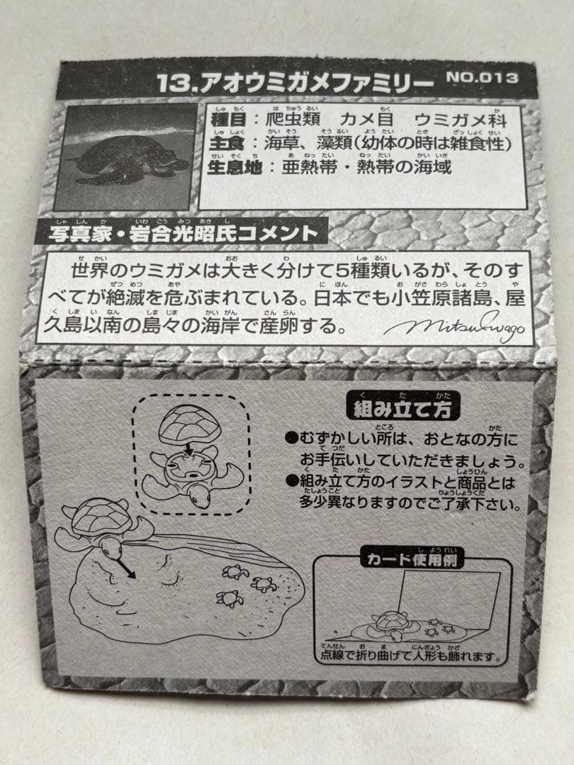 バンダイ 世界自然動物 アオウミガメファミリー フィギュア — image 2