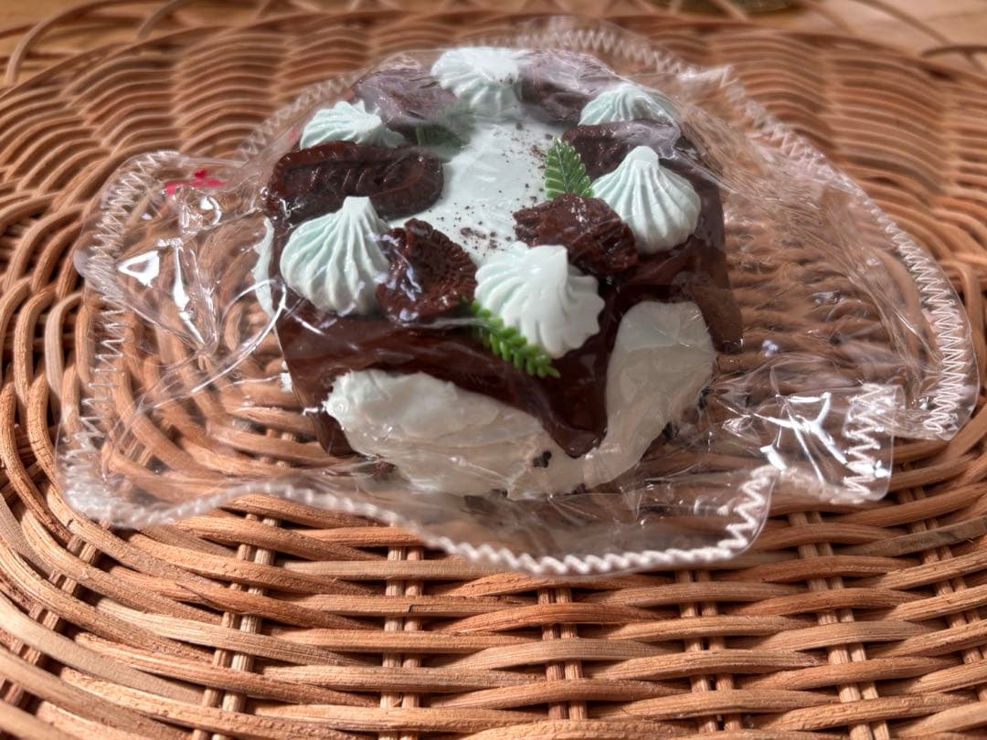 本日限定価格　kikisquishy L チョコミント　ケーキ — image 2