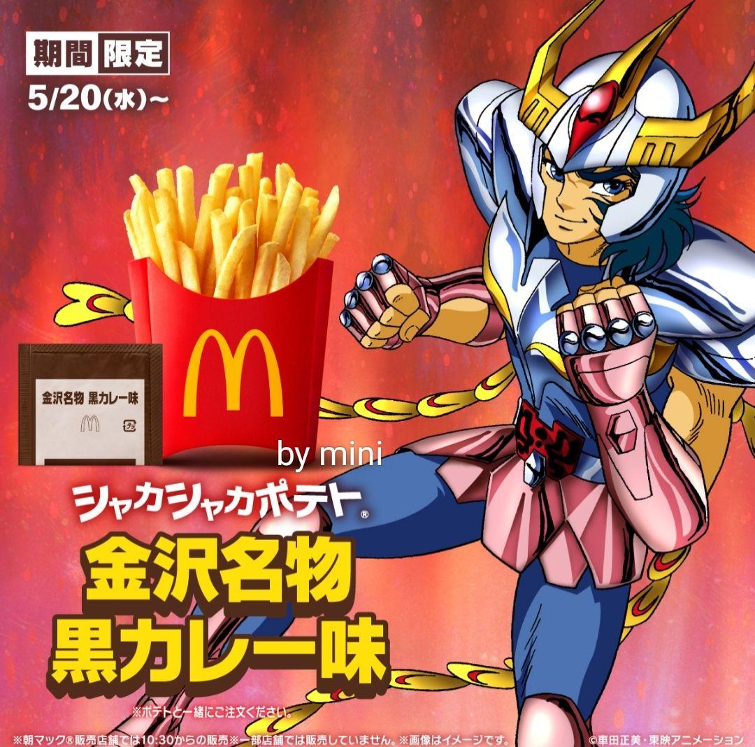 マクドナルド　シーズニング　金沢名物黒カレー　カレーパウダー　シャカシャカポテト — image 2