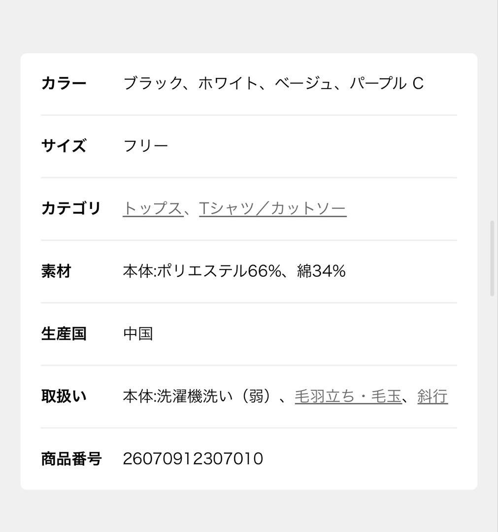 今スローブイエナ　シアー天竺クルーネックロンTEE ベージュ — image 3