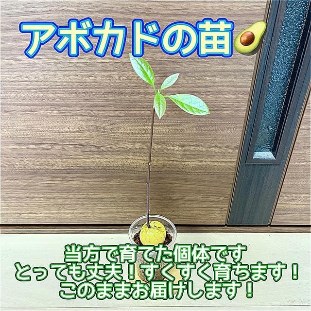 いす様 リクエスト 3点 まとめ商品 — image 2