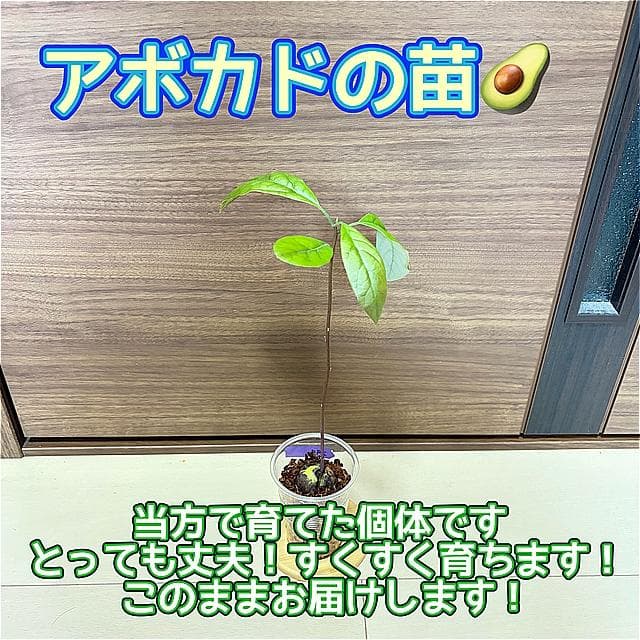 いす様 リクエスト 3点 まとめ商品 — image 3