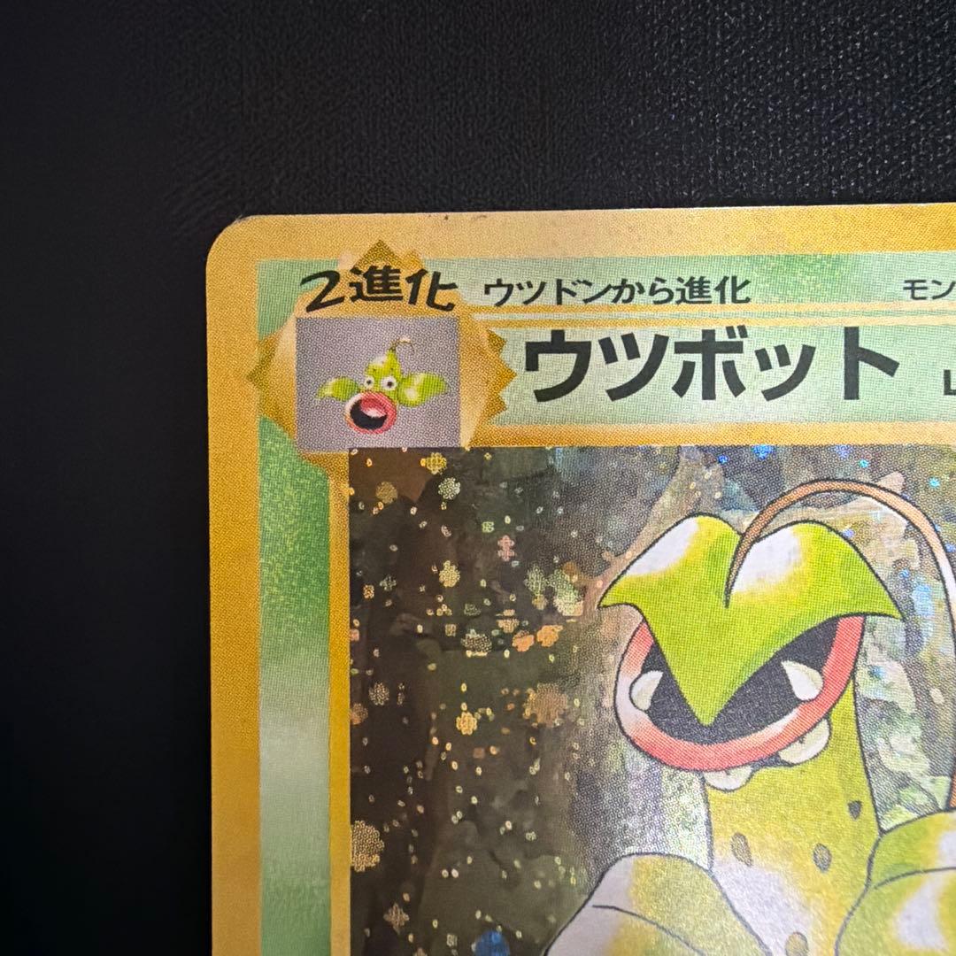 旧裏　ウツボット　キラ　ポケモンジャングル　モンボホロあり — image 3
