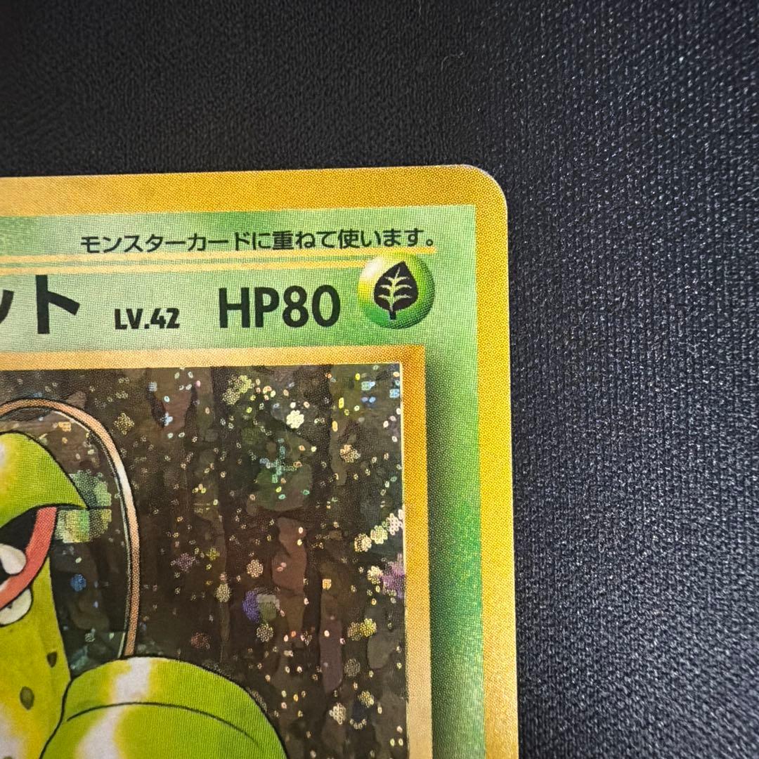 旧裏　ウツボット　キラ　ポケモンジャングル　モンボホロあり — image 4