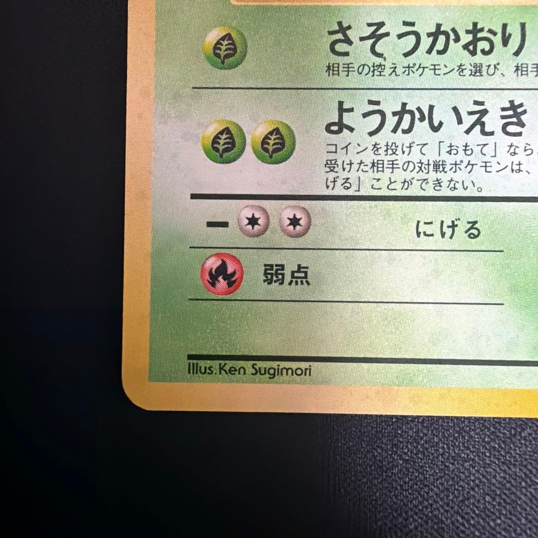 旧裏　ウツボット　キラ　ポケモンジャングル　モンボホロあり — image 5
