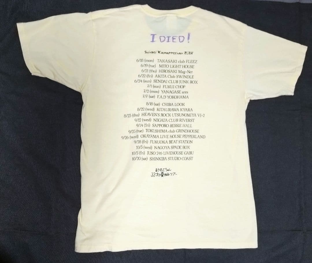 神聖かまってちゃん 33才の夏休みツアー Tシャツ Lサイズ — image 4
