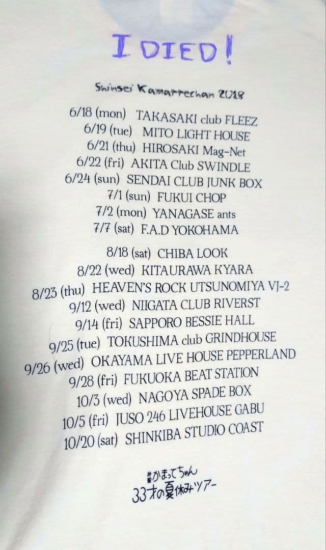 神聖かまってちゃん 33才の夏休みツアー Tシャツ Lサイズ — image 5