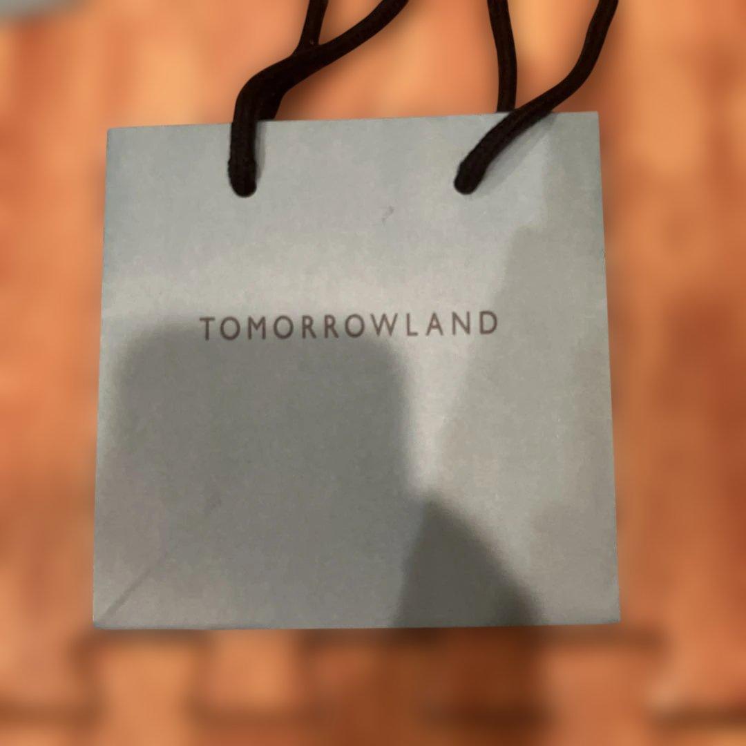 TOMORROWLAND ショッパー　ショップ袋 2枚セット — image 2