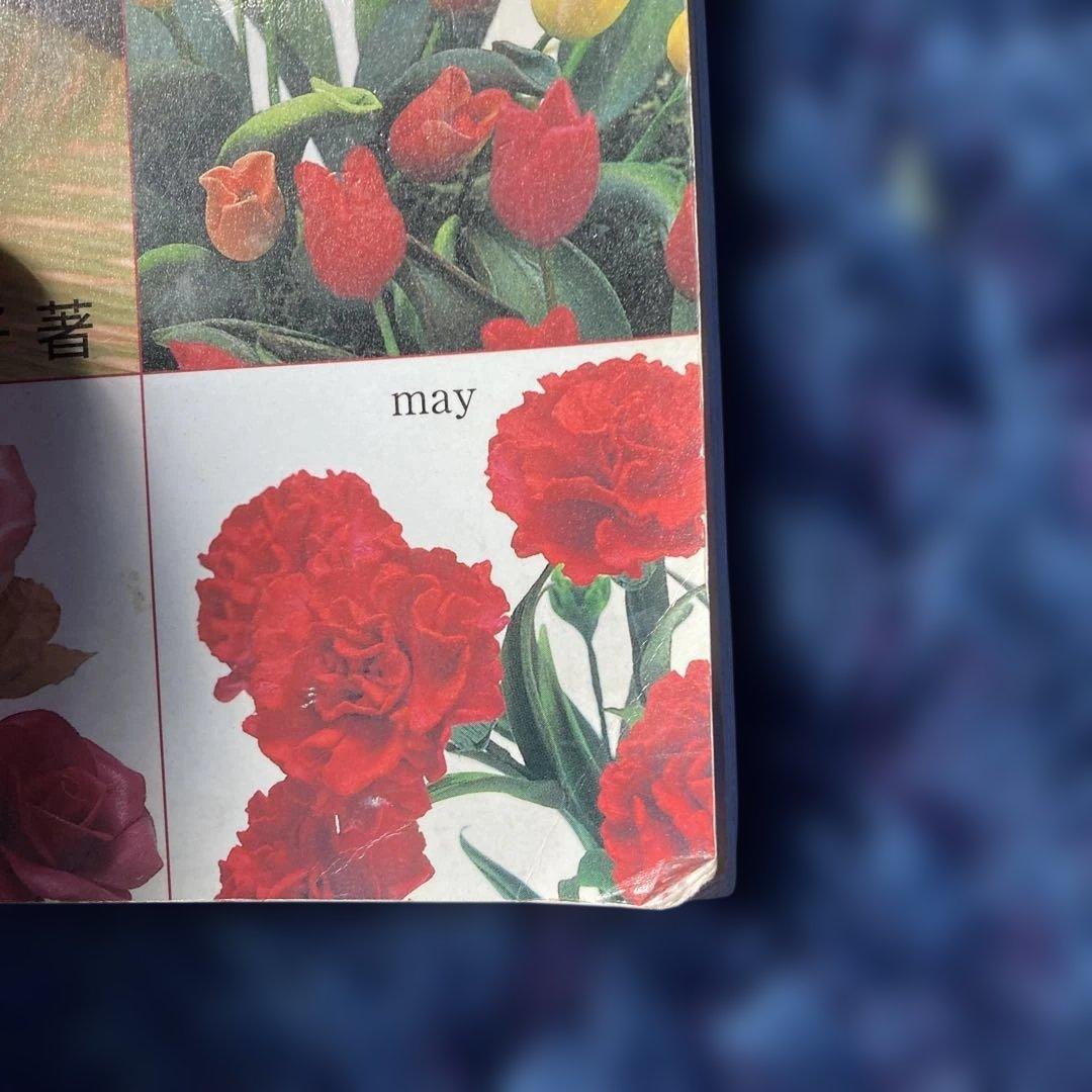 色彩で楽しむ パンアートの花 はじめてのねんどの花12カ月 ２冊で — image 3
