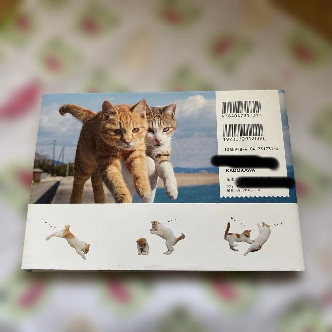飛び猫　猫写真集 — image 2