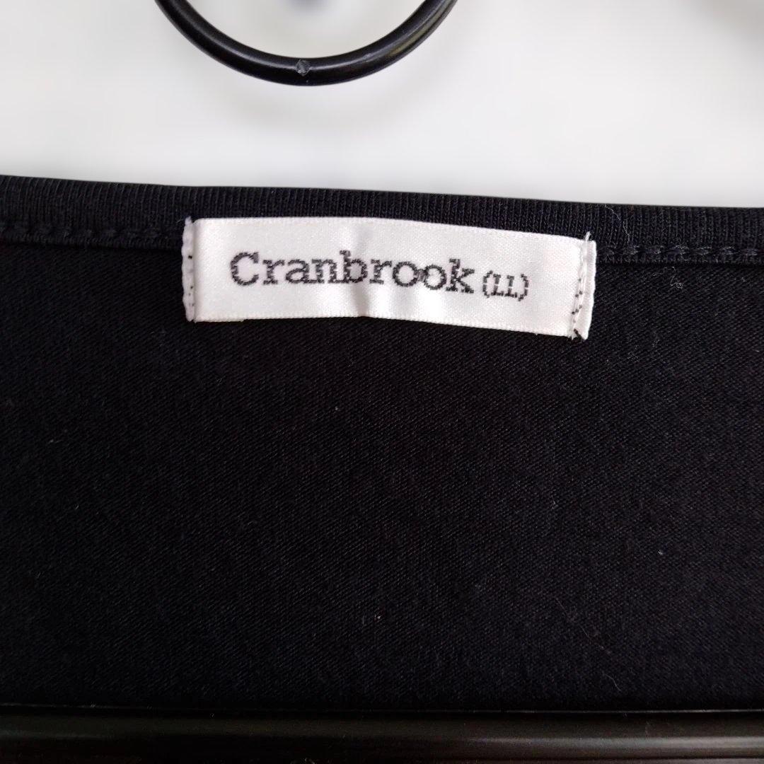 Cranbrook 長袖カットソー フリルデザインドレスシャツ風 ブラック　LL — image 4