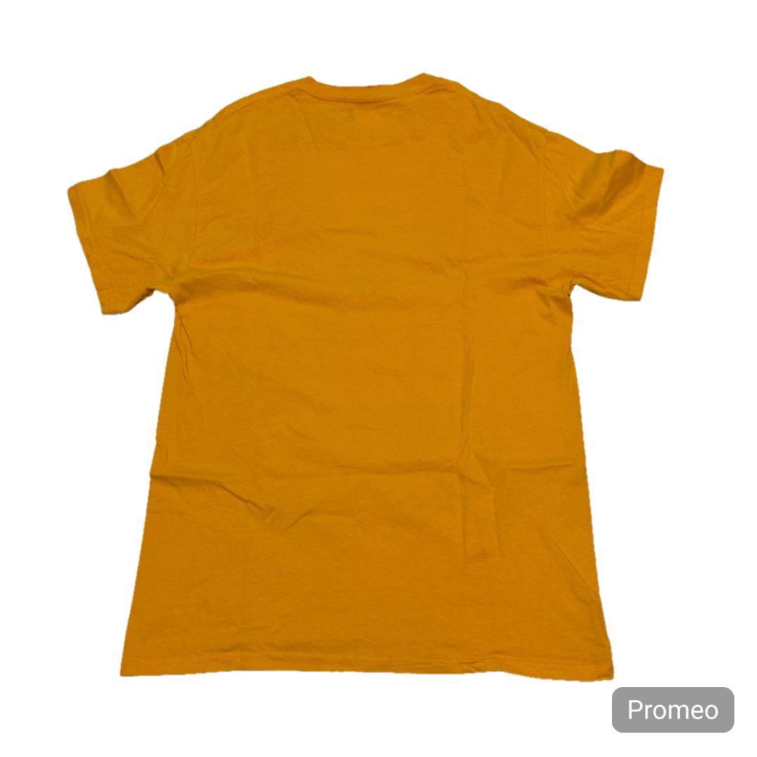 カレッジTシャツ M サイズ2枚セット　アメリカ古着　プリントT NCAA — image 5