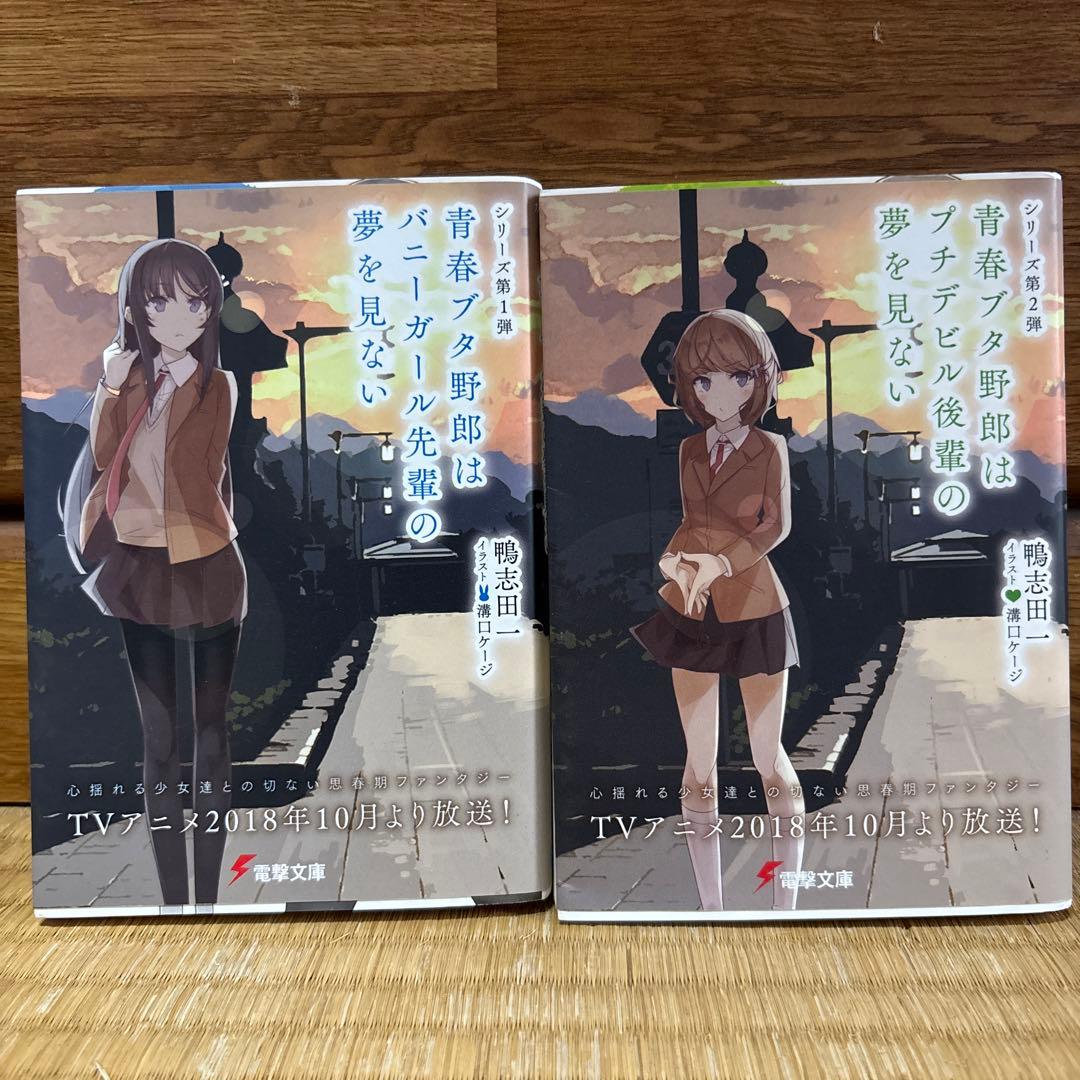 青春ブタ野郎シリーズ 1巻 2巻セット 電撃文庫 — image 2