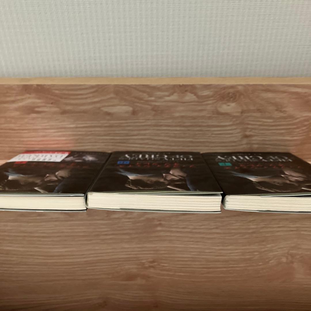 フィフティ・シェイズ・オブ・グレイ 上中下 — image 3