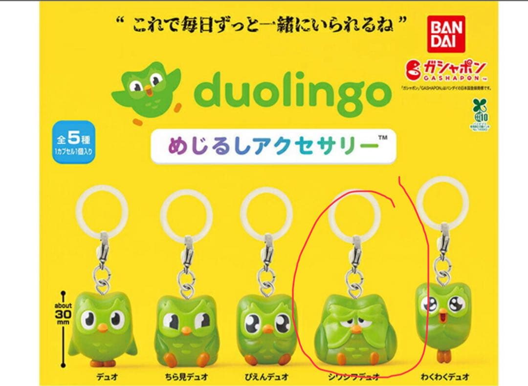 Duolingo めじるしアクセサリー シワシワデュオ ガチャ — image 3