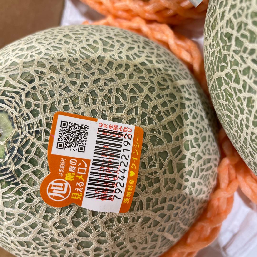 279糖度18度以上！茨城県旭村産プレミアムメロン極クインシー3L1箱4玉入 — image 3