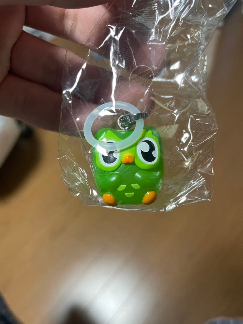 Duolingo Duo マスコット キーホルダー 2種セット　デュオリンゴ — image 2