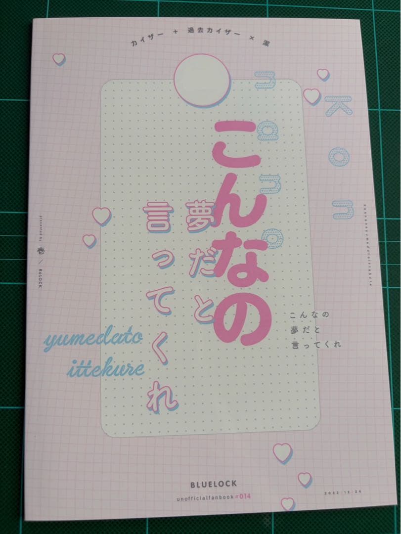 同人誌 カイ潔 kiis — image 2