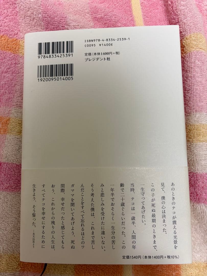 捨てられた僕と母猫と奇跡 : 心に傷を負った二人が新たに見つけた居場所 — image 2