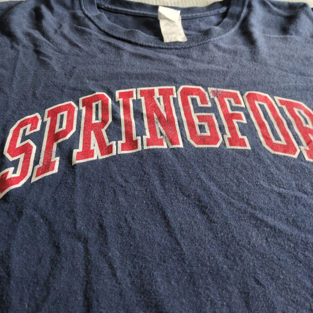 BUDDYオリジナル SPRINGFORD Tシャツ ネイビー Lサイズ — image 2