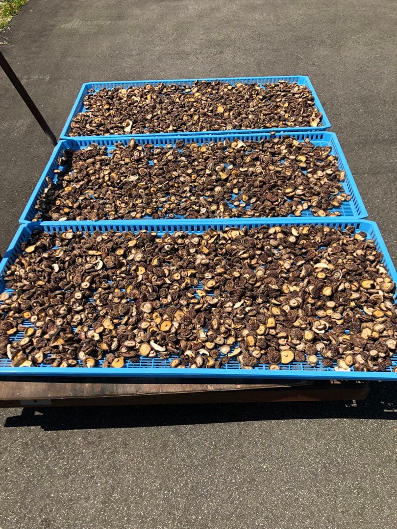新潟県産 天日干し椎茸180g — image 4