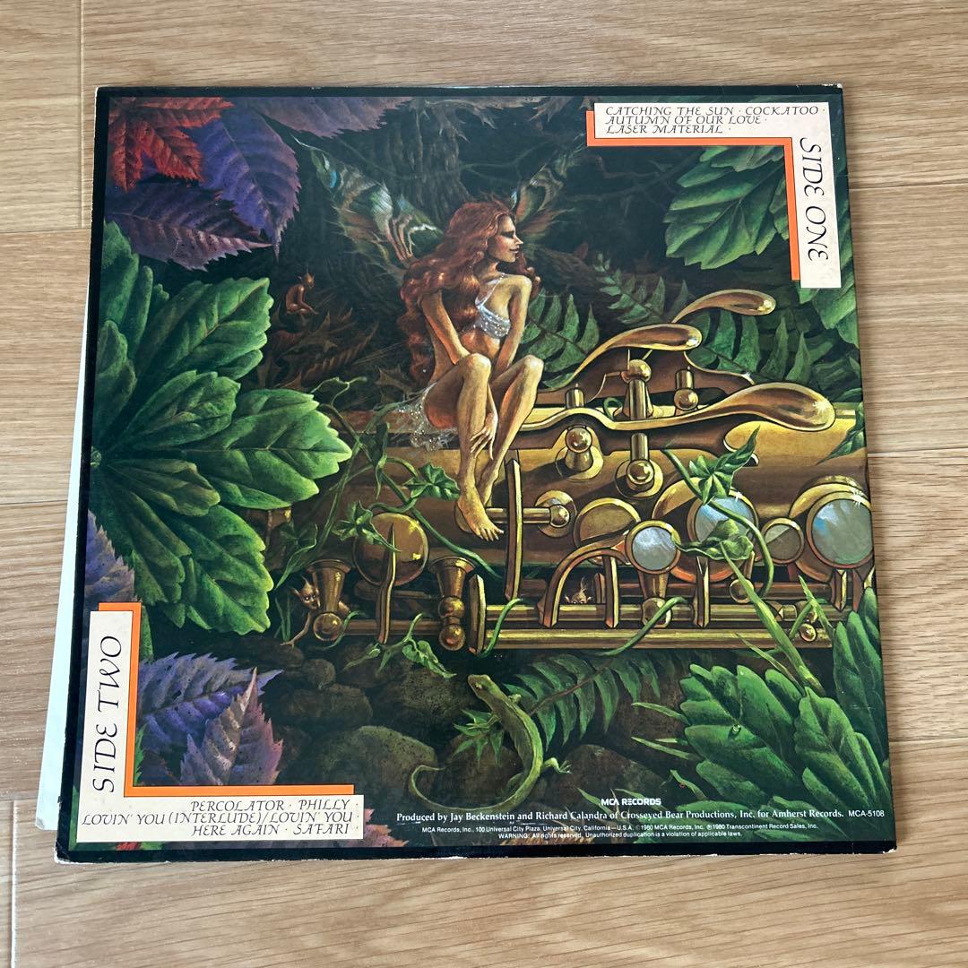 Spyro Gyra Catching The Sun LP レコード — image 2