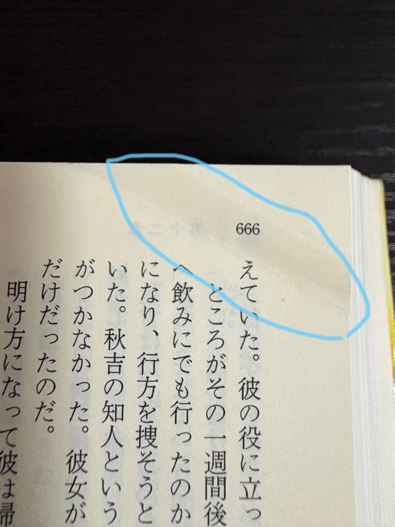 東野圭吾 白夜行 幻夜 文庫本 2冊セット — image 5