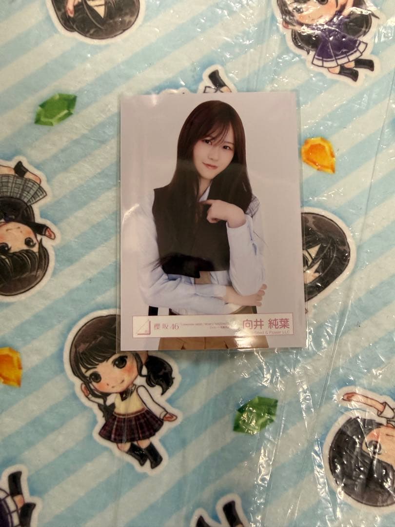 櫻坂46 櫻坂46 向井純葉 4種セット — image 4