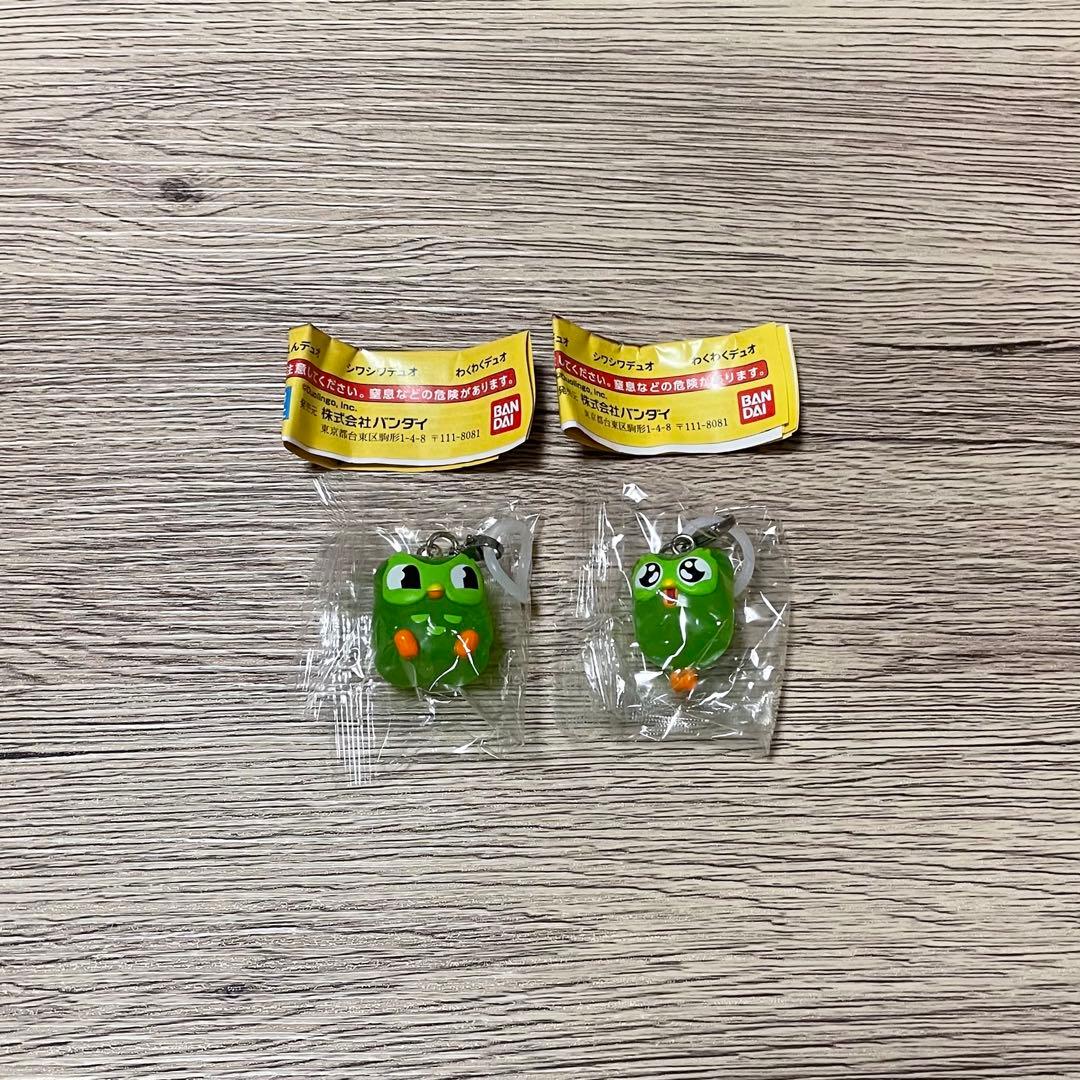 Duolingo めじるしアクセサリー 2種セット — image 2