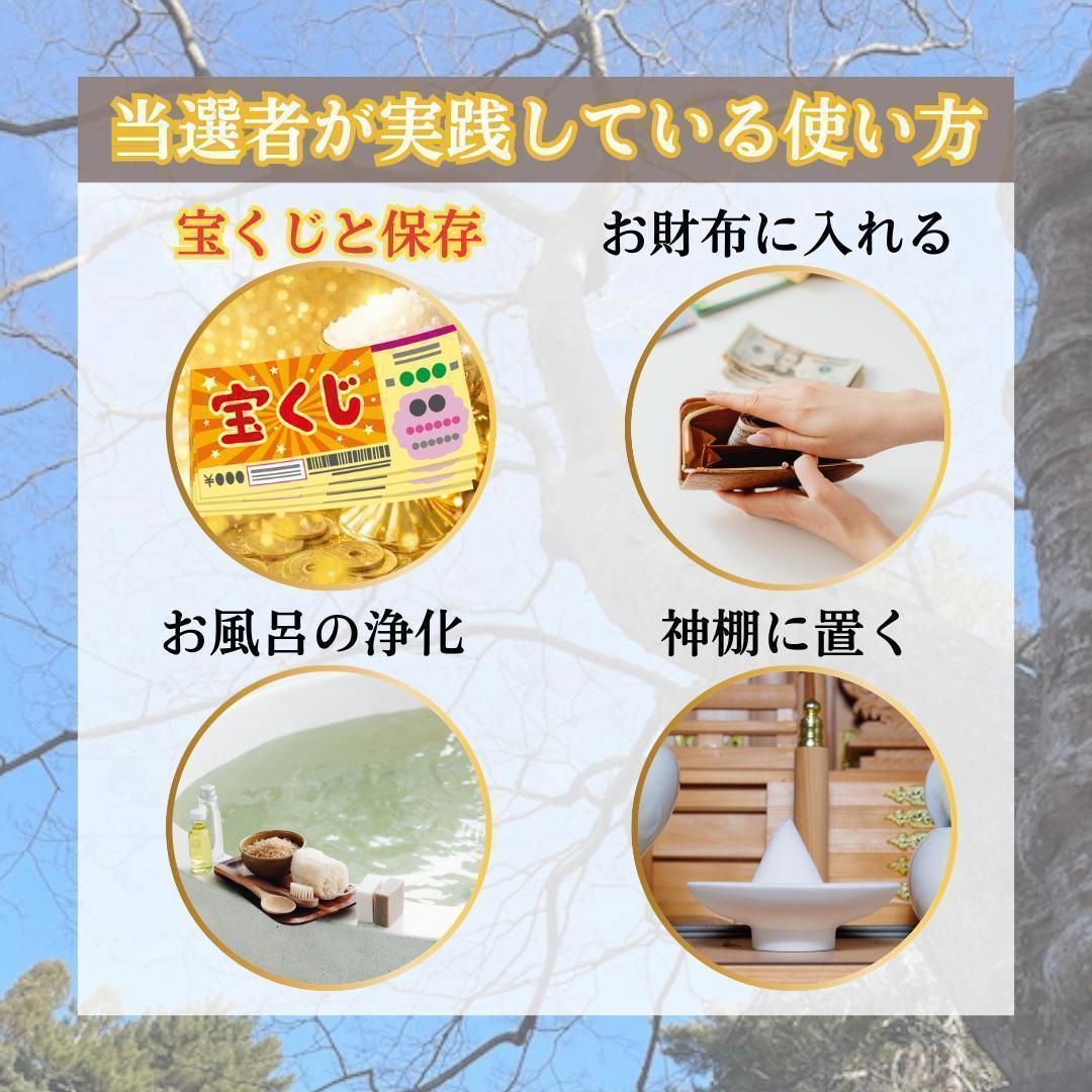 宝くじ 当選祈願 波動塩 金運アップ 開運 龍神 — image 5