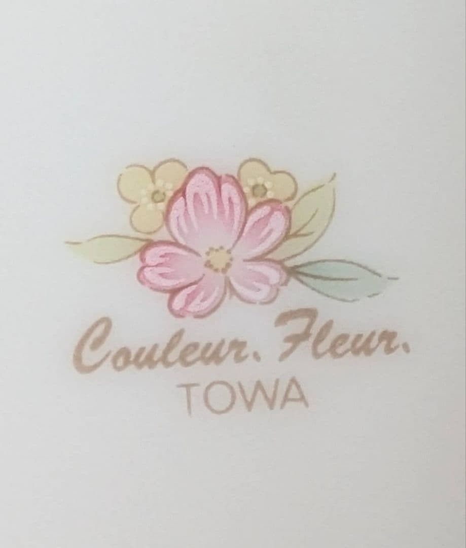 Couleur Fleur TOWA 皿 5枚セット — image 4